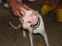 DSC01287.JPG